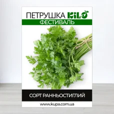 Семена петрушки листовои Фестиваль, 0,5кг