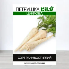 Семена петрушки кореневои Цукрова, 0,5кг