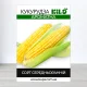 Насіння кукурудзи Ароматна, 1кг