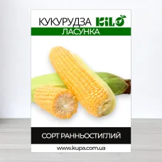 Семена кукурузы Ласунка, 1кг
