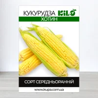 Семена кукурузы кормовои Хотин, 1кг