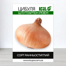 Семена лука Штутгартен Ризен, 0,5кг