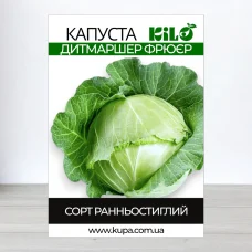 Семена капусты Дитмаршер Фрюер, 0,5кг