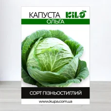 Семена капусты Ольга, 0,5кг