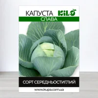 Насіння капусти Слава, 0,5кг