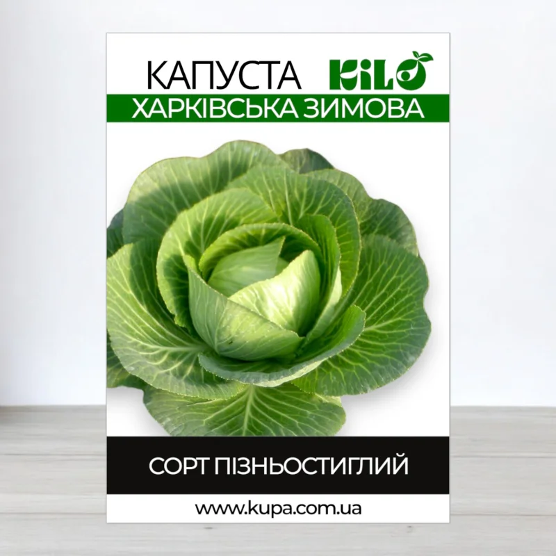 Насіння капусти Харківська Зимова, 0,5кг