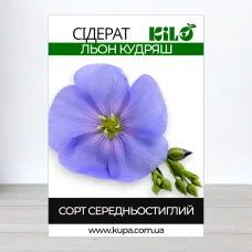 Семена льону Кудряш, 1кг