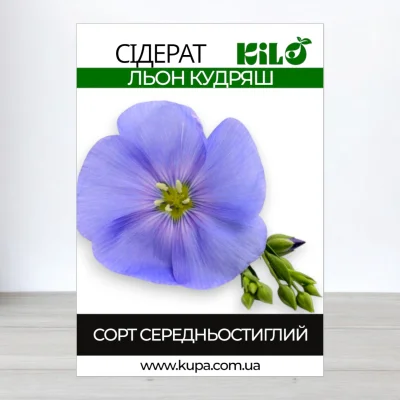 Насіння льону Кудряш, 1кг