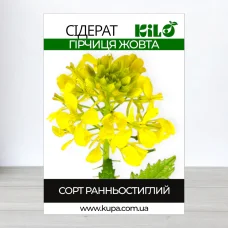 Семена гирчици Жовтои, 1кг