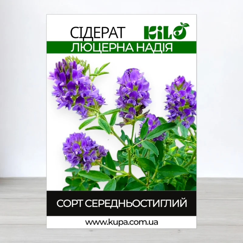 Семена люцерни магниченои Надия, 1кг