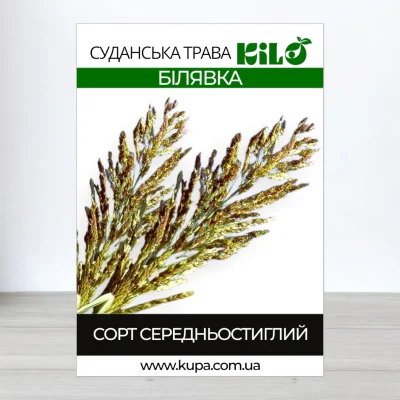 Семена суданськои трави Билявка, Сорго Суданське, 1кг