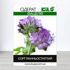 Семена Фацелии, 1кг