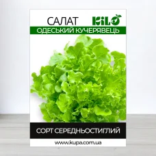 Семена салата Одеський Кучерявець, 0,5кг