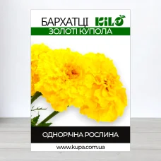 Семена бархатцив Золоти Купола, 0,5 кг