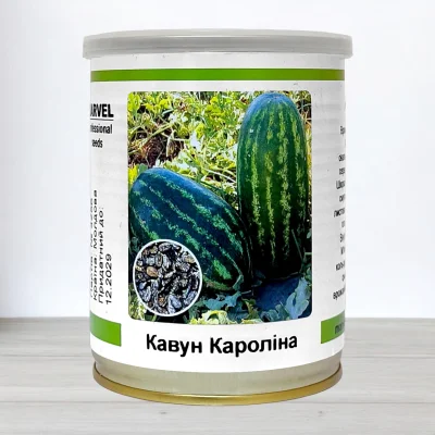 Насіння кавуна Кароліна, Польща, Marvel, банка 100г