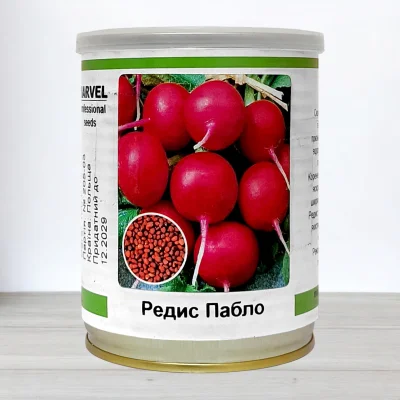 Насіння редису Пабло, Польща, Marvel, банка 100г
