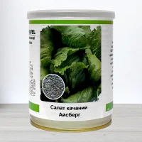 Семена салата Айсберг, Польща, Marvel, банка 100г
