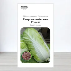 Семена капусты пекинськои Гранат, Польща, Marvel, 3г