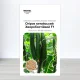 Семена огурца бджолозапильного Китайський Хворобостийкий F1, Украина, Marvel, 3г, 90-100 насинин