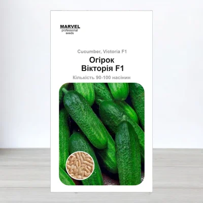 Семена огурца партенокарпичного Виктория F1, Польща, Marvel, 3г, 90-100 насинин