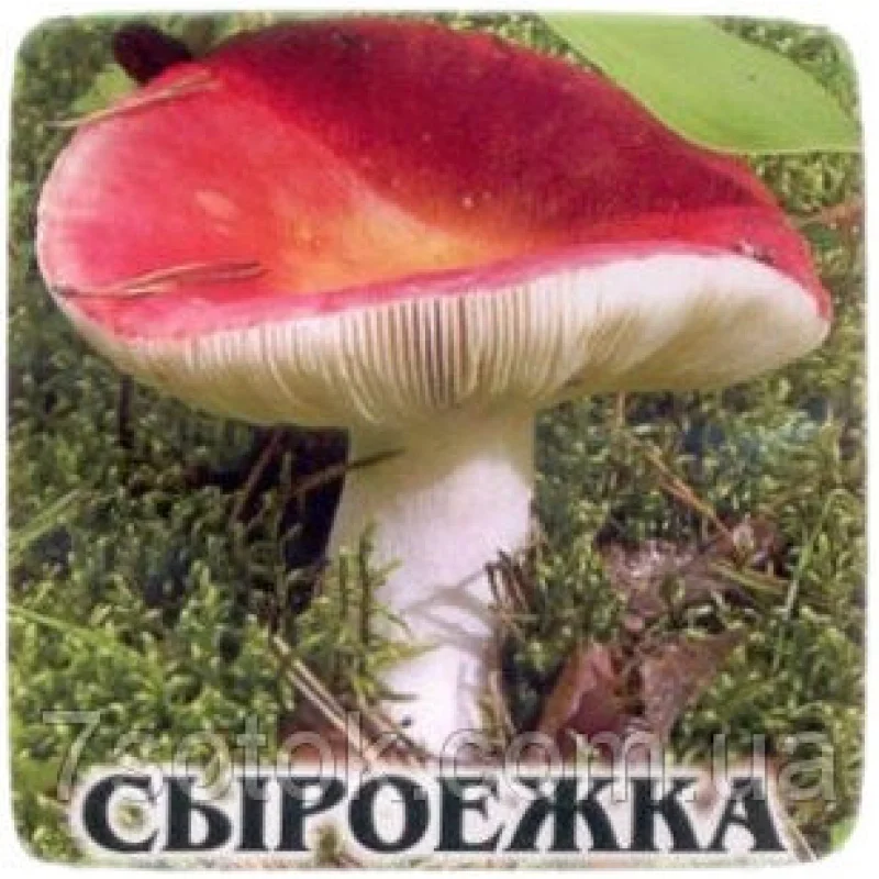 Гриб Мицелий Сироижка Харчова, 10г