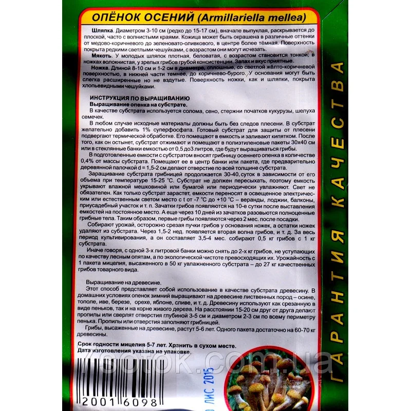 Гриб Мицелий Опеньок Осинний, 10г