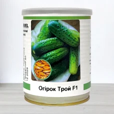 Насіння огірка бджолозапильного Трой F1, Німеччина, Marvel, банка 100г